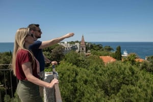 ロヴィニ：リムフィヨルドとロヴィニ諸島のスピードボートツアーをお楽しみください