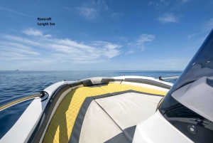 ロヴィニ：リムフィヨルドとロヴィニ諸島のスピードボートツアーをお楽しみください