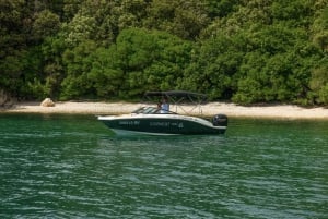 ロヴィニ：リムフィヨルドとロヴィニ諸島のスピードボートツアーをお楽しみください