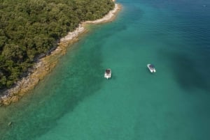 ロヴィニ：リムフィヨルドとロヴィニ諸島のスピードボートツアーをお楽しみください