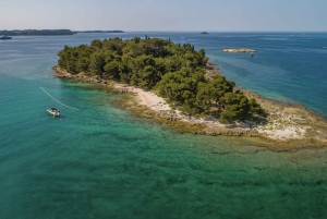 Rovigno: giro delle isole di lusso con nuoto e snorkeling