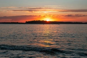 VRSAR: Yöveneretki Rovinjiin delfiinien katseluun