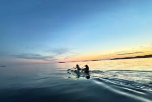 Rovinj: Nachttour in einem transparenten Kajak um die Inseln