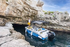 Rovinj: excursión por las islas de lujo con natación y snorkel