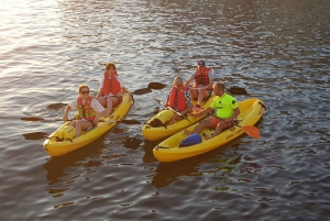 Sport acquatici Rovigno - Tour in kayak, snorkeling, drink gratuito e foto