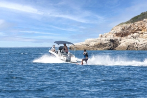 Rovinj: Rovinj Archipelago and South Coves Speedboat Tour