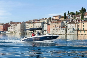 Rovinj: Rovinj Archipelago and South Coves Speedboat Tour