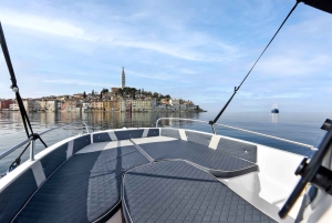 Rovinj: Delfiner i soluppgången och fiskare i arbete Speedboat Tour