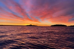 Rovinj: Sunrise Dolphins & Fishermen at Work Speedboat Tour