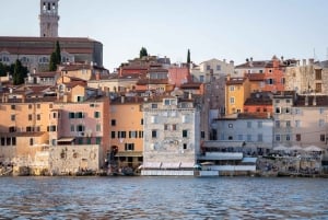 Rovinj: Sunrise Dolphins & Fishermen at Work Speedboat Tour