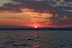 Rovinj: Sunrise Dolphins & Fishermen at Work Speedboat Tour