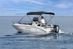 Rovinj: Sunrise Dolphins & Fishermen at Work Speedboat Tour