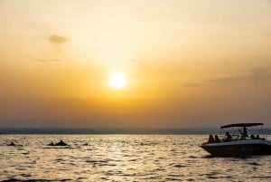 Rovinj: Sunrise Dolphins & Fishermen at Work Speedboat Tour