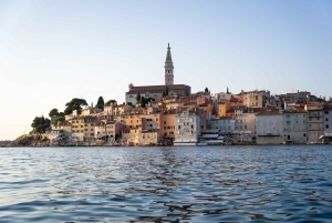 Rovinj: Sunrise Dolphins & Fishermen at Work Speedboat Tour