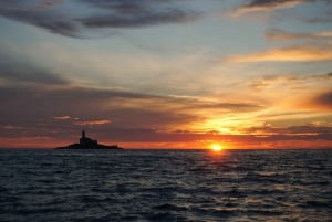 Rovinj: Bootsfahrt bei Sonnenuntergang mit Delphinbeobachtung