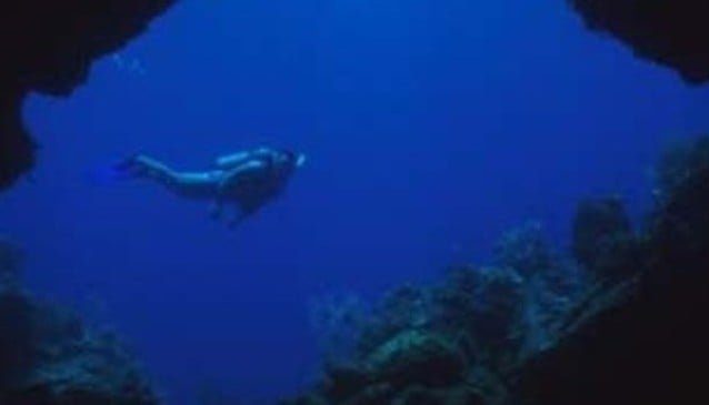 S 57 Freaky Diving