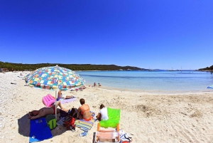 Fra Zadar: Guidet heldagstur til Sakarun-stranden