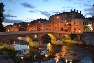 Sarajevo Private Full-Day Excursion from Dubrovnik