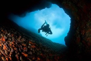 Dykning i Dubrovnik: 1 dyk for certificerede dykkere
