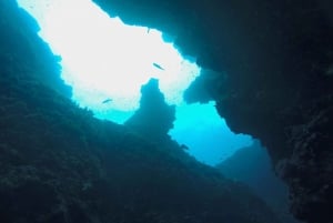 Depuis Dubrovnik : plongée pour plongeurs certifiés