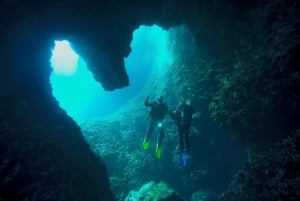Mergulho em Dubrovnik: 1 mergulho para mergulhadores certificados