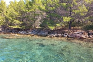 Hav, sol og vind: Halvdagsseiling i Zadars Aquatorium