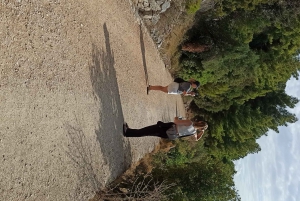 Randonnée dans le parc secret de Marjan à Split