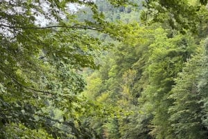 Severin na Kupi: tour in kayak sul fiume Kupa