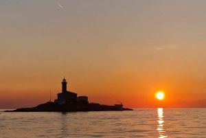 Rovinj: Shared Dolphin and Sunset Tour with Drinks