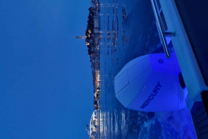 Rovinj: Shared Dolphin and Sunset Tour with Drinks