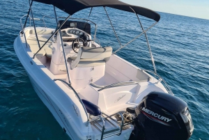 Rovinj: Shared Dolphin and Sunset Tour with Drinks