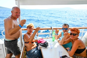 難破船 - ブルーラグーン 全込プラン + トロギール散策ツアー