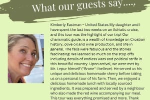 Sebenico: la Croazia in un giorno, panorami, storia, olio d'oliva, vino