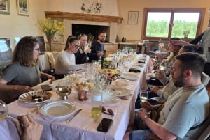 Sebenico: la Croazia in un giorno, panorami, storia, olio d'oliva, vino