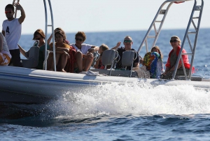 Sibenik: Full-Day Kornati National Park Boat Tour
