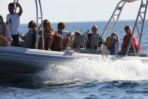 Sibenik: Heldags båttur i Kornati nasjonalpark