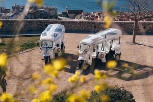 Šibenik: 3 uur stads- en wijnrondleiding, proeverij en forten inc