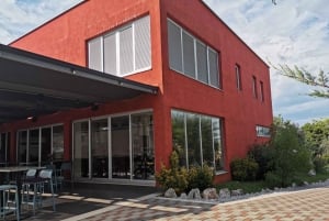 Šišan: Organic Winery Tour and Tasting Experience