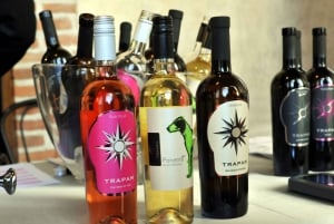 Šišan: Organic Winery Tour and Tasting Experience