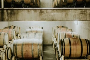 Šišan: Organic Winery Tour and Tasting Experience