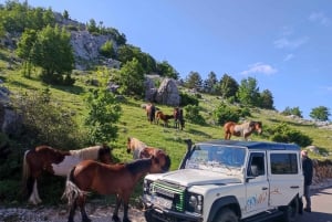スカイウォーク（1228m）とセント ジョージ（1762m）エコツアー