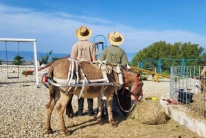 Šmrika (nära Rijeka/Krk/Crikvenica) Åsnefarm Familjekul