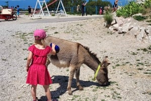 Šmrika (nära Rijeka/Krk/Crikvenica) Åsnefarm Familjekul