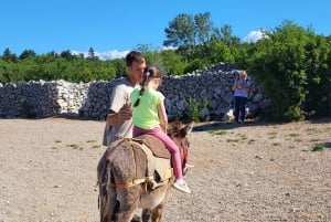 Šmrika (nära Rijeka/Krk/Crikvenica) Åsnefarm Familjekul