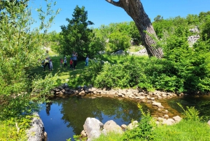 Šmrika (nära Rijeka/Krk/Crikvenica) Åsnefarm Familjekul