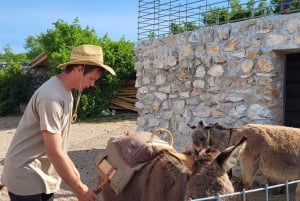 Šmrika (nära Rijeka/Krk/Crikvenica) Åsnefarm Familjekul