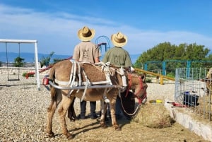 Šmrika (nära Rijeka/Krk/Crikvenica) Åsnefarm Familjekul