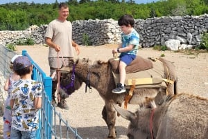 Šmrika (nära Rijeka/Krk/Crikvenica) Åsnefarm Familjekul