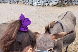 Šmrika (nära Rijeka/Krk/Crikvenica) Åsnefarm Familjekul