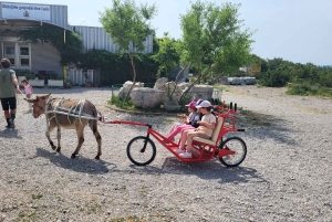 Šmrika (nära Rijeka/Krk/Crikvenica) Åsnefarm Familjekul